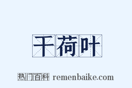 干荷叶是什么意思的图片